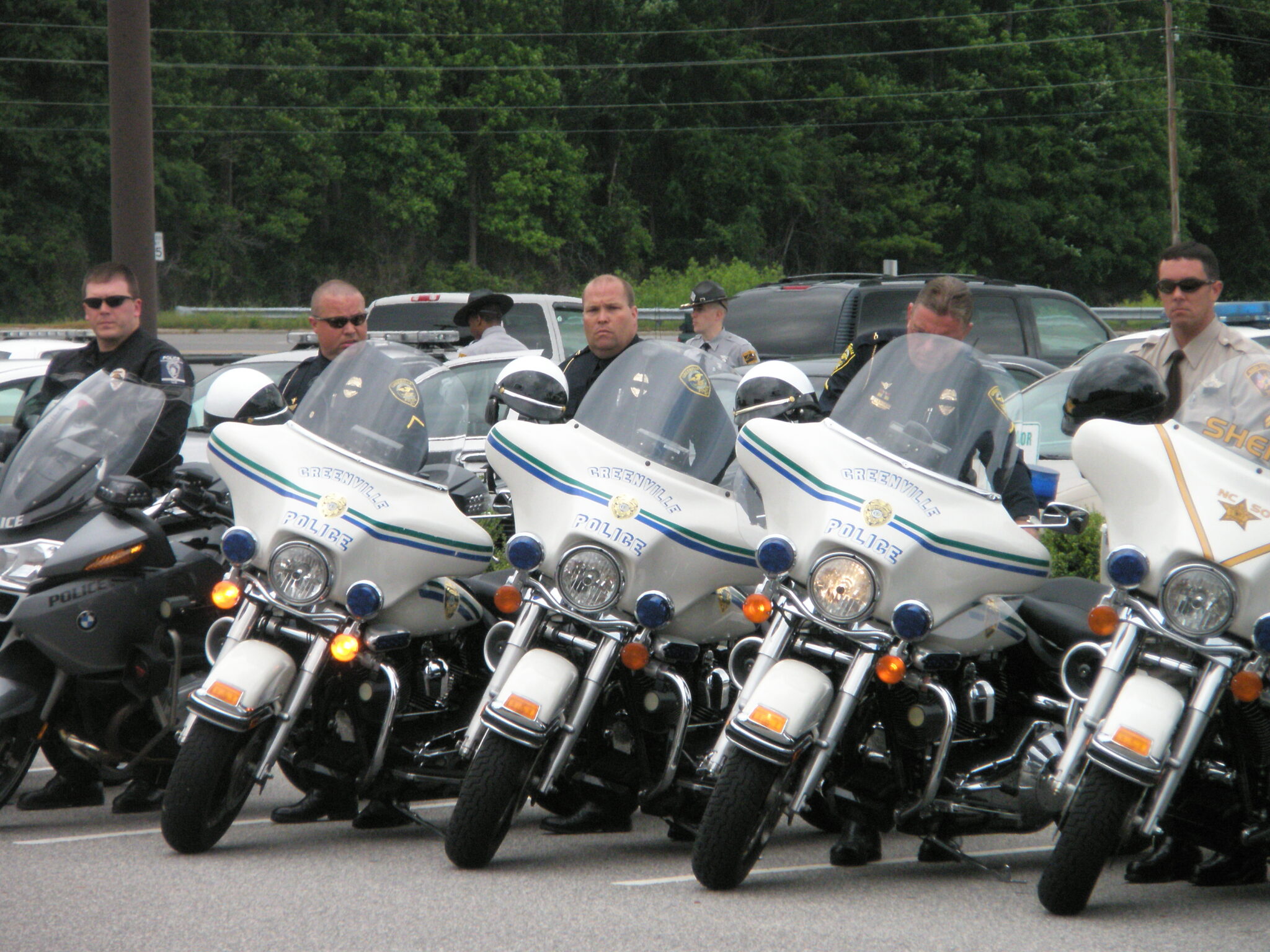 Greenville Nc Police Report - 6ayd5i6